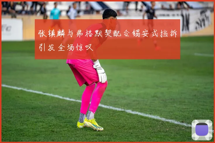 张镇麟与弗格默契配合锡安式挡拆引发全场惊叹