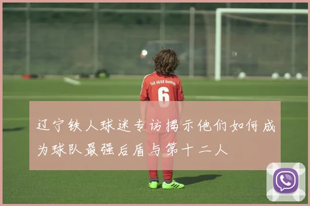 辽宁铁人球迷专访揭示他们如何成为球队最强后盾与第十二人