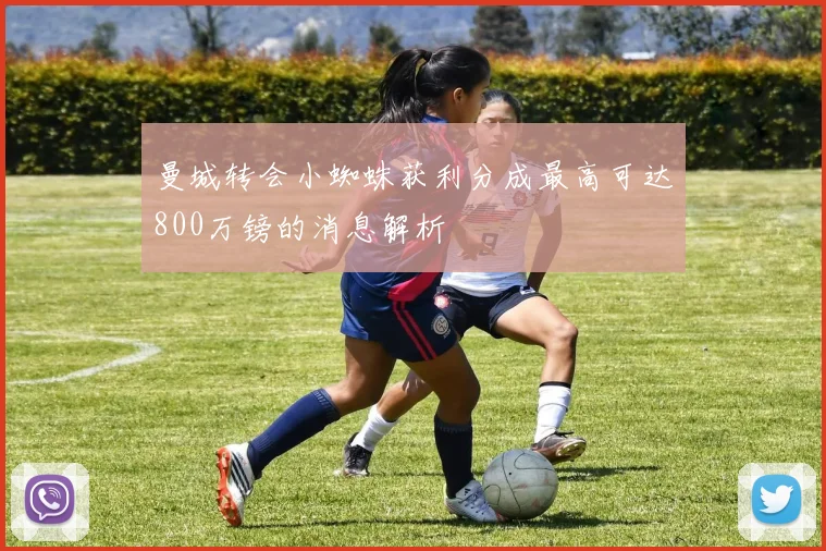 曼城转会小蜘蛛获利分成最高可达800万镑的消息解析